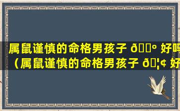 属鼠谨慎的命格男孩子 🐺 好吗（属鼠谨慎的命格男孩子 🦢 好吗还是女孩）